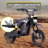 KOOZ 36v 300w (HP122E) Electric Dirt Bike Purple